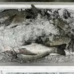 图–京东”亚洲一号”智能仓16,000件/小时背后的90%自动化奇迹–上海枫语物流