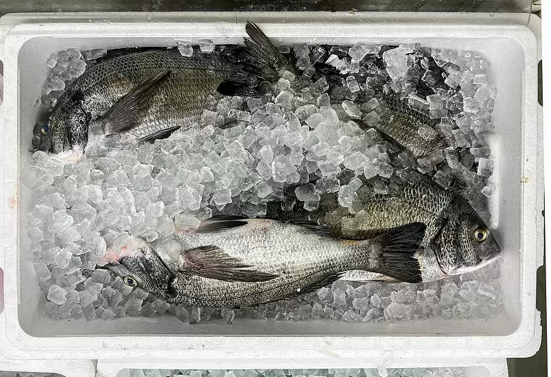 图–京东”亚洲一号”智能仓16,000件/小时背后的90%自动化奇迹–上海枫语物流